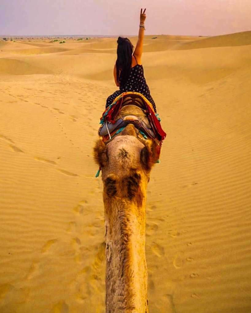 camel excursion for sunset with two camel and a girl who enjoying sunset in the heart of thar desert